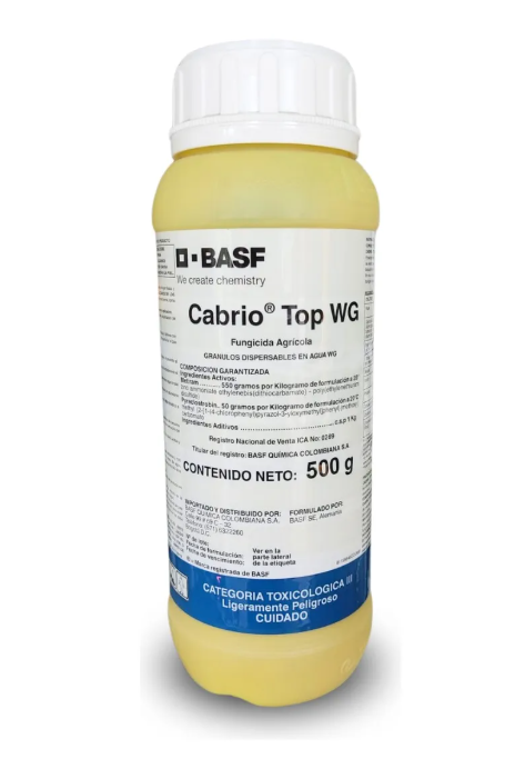 CABRIO TOP